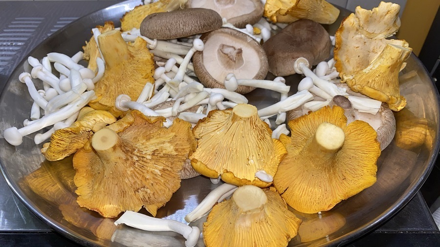 Μανιτάρια: Ιδιότητες και διατροφική αξία – Προστατεύουν από πολύ σοβαρές ασθένειες