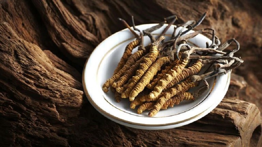 Το μανιτάρι που είναι πιο ακριβό ακόμη και από τον χρυσό – yartsa gunbu